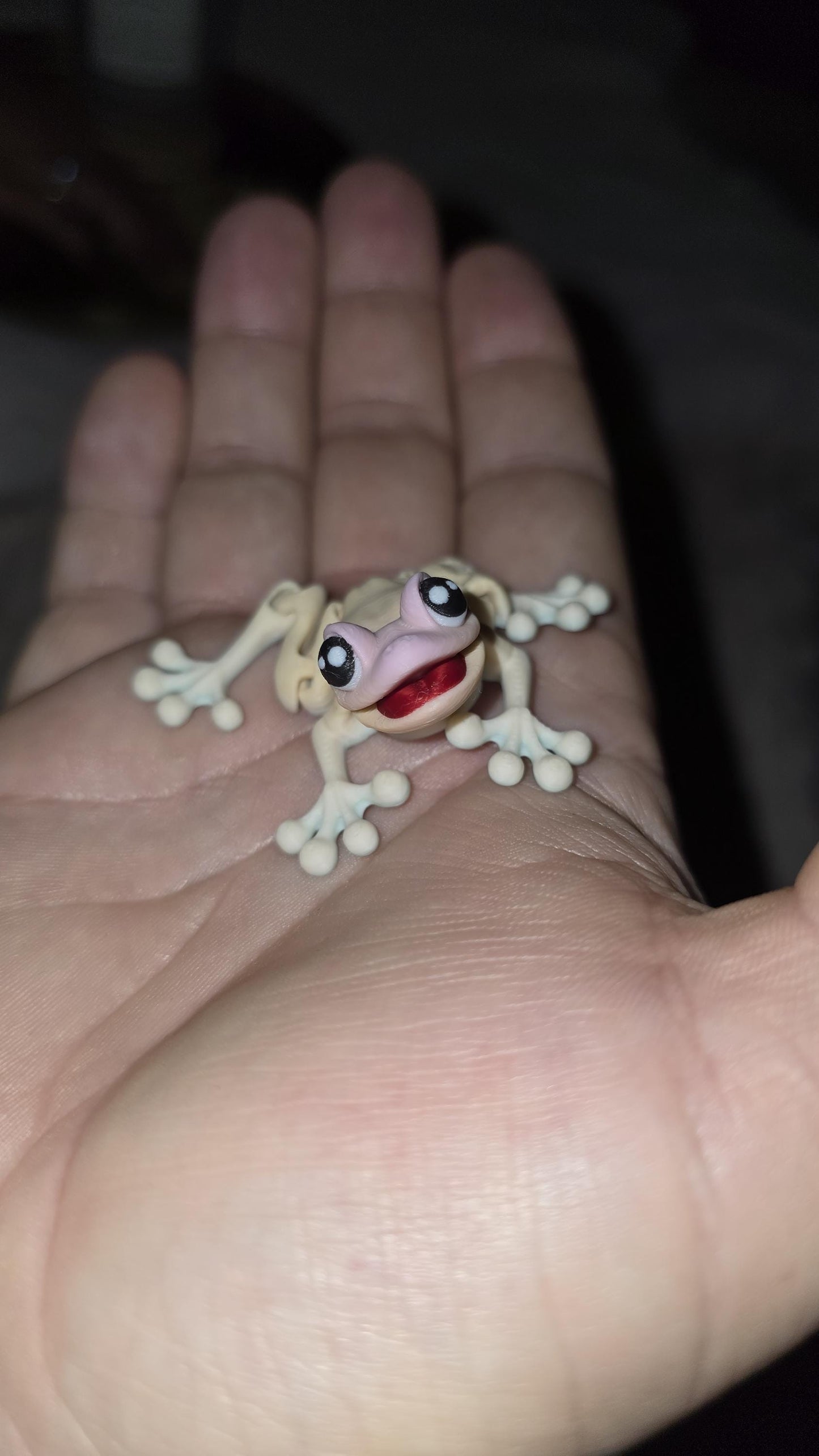 3D Printed Frog – Articulated Fidget Animal Toy – Cute Desk Pet Decor – Poseable Frog Gift