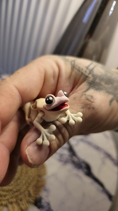 3D Printed Frog – Articulated Fidget Animal Toy – Cute Desk Pet Decor – Poseable Frog Gift